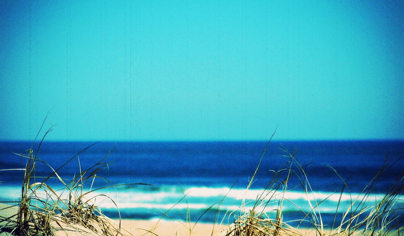land, water, sky, marram grass, tranquil scene, blue, tranquility, nature, beauty in nature, 1080P, grass, outdoors, clear sky, scenics - nature, copy space
