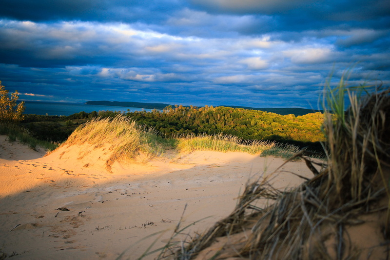 sun, sand, sleeping bear dunes, non-urban scene, cat tail, plant, sand dunes, highlight, dune, empire, marram grass, dunes, sleeping bear dunes national lakeshore