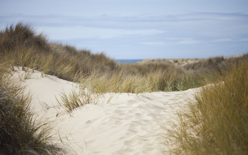 sand dune, plant, sky, water, tranquil scene, beauty in nature, scenics - nature, day, environment, nature, cool background pictures nature 1920x1200, landscape