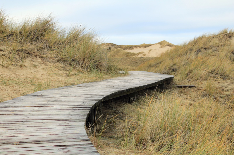 Amrum, wood paneling, day, sky, sea, outdoors, scenics, the way forward, tranquility, northern village, scenics - nature, 5K, land, marram Grass, environment