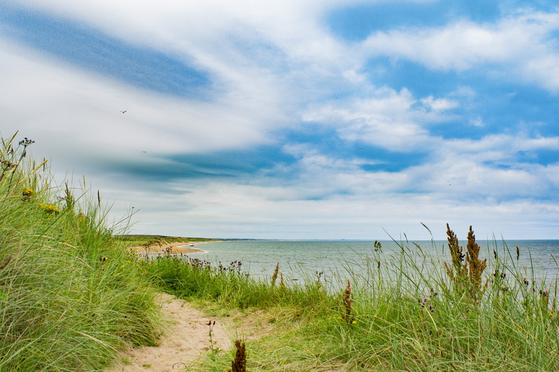 beauty in nature, grass, ocean, wave, nature, seaside, aberdeenshire, landscape, sand, scottish, summer, sea, beach, land, scenics - nature, tranquility