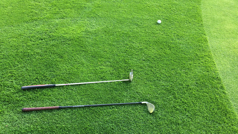 lawn, recreational pursuit, nature, club, golf, play, plant, day, wedge, green color, outdoors, activity, golf club, ball, putter, golf course, sports equipment