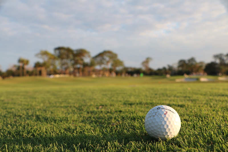 plant, golf ball, close-up, green - golf course, golf, field, golf course, grass, focus on foreground, outdoors, sphere, green color, no people, nature