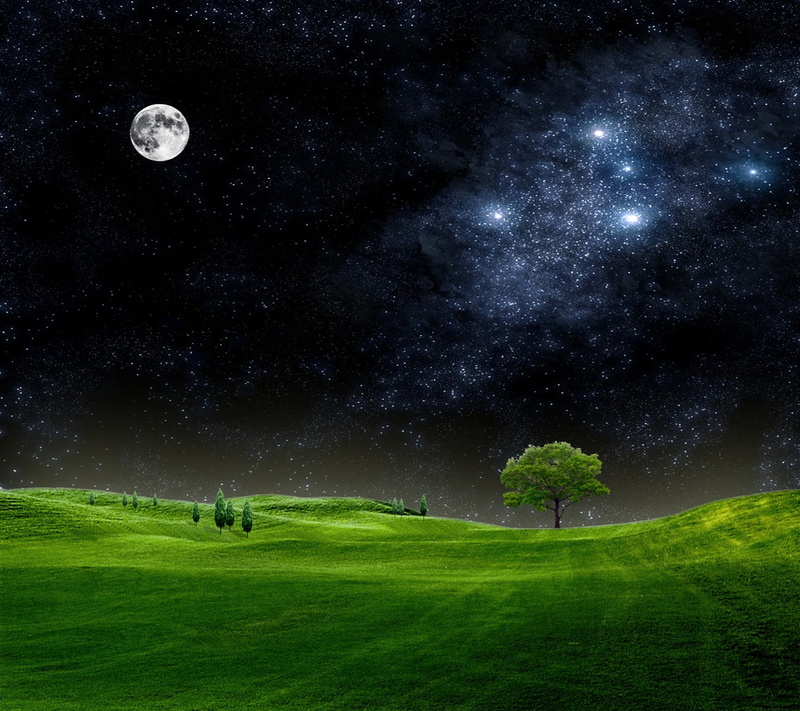 star, textile, tranquil scene, moon, sky, black, happy, grass, plant, scenics - nature, galaxy, night, activity, star - space, no people, outdoors, astronomy