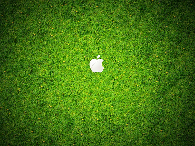 white color, grass, high angle view, plant, field, land, green color, green - golf course, 1080P, Apple, activity, logo, sunlight, Computers, green, freshness