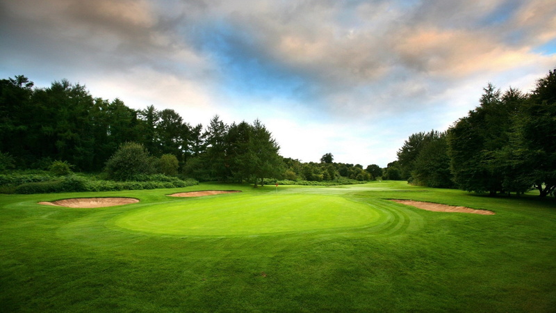 nature  download for desktop 1920x1080, grass, plant, day, tranquil scene, sky, sport, no people, green - golf course, beauty in nature, tranquility, tree