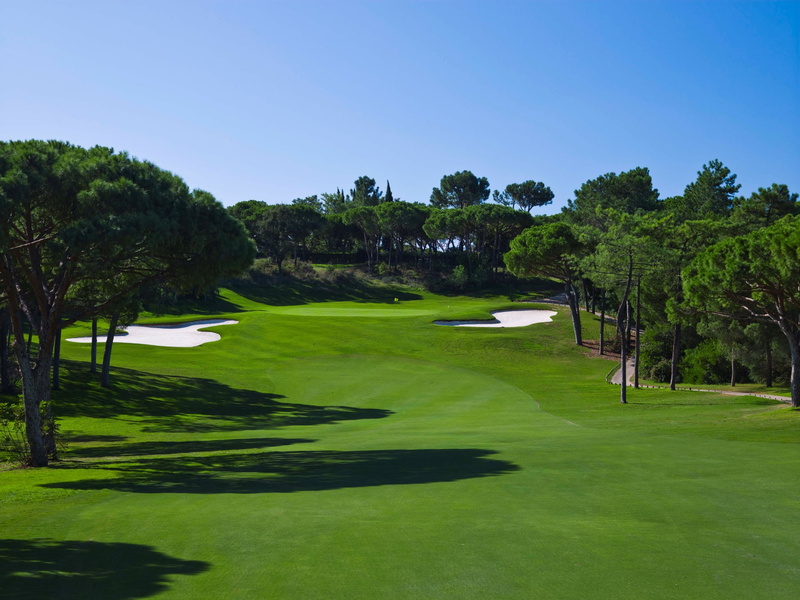 green color, clear sky, tree, beauty in nature, sand trap, nature, sport, golf, outdoors, day, grass, leisure activity, plant, 1080P, no people, golf  high resolution