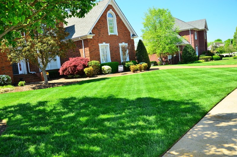 green, lawn services, outdoors, grass cutting, 1080P, front or back yard, green color, landscaped, lawn mowing, plant, building, house, nature, field