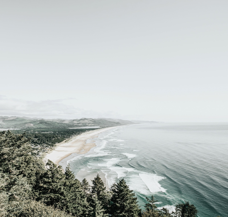 nature, plant, 2K, beauty in nature, motion, sky, scenics - nature, s, day, eye, view, tranquility, outdoors, seashore, water, beach, tranquil scene, near