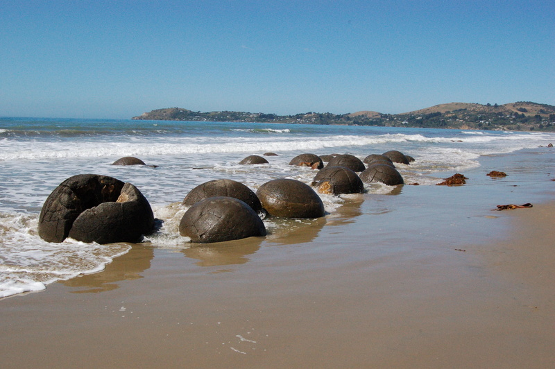 nature, new zealand, no people, animal wildlife, scenics - nature, clear sky, seashore, boulders, travel destinations, sphere, coast, seascape, non-urban scene