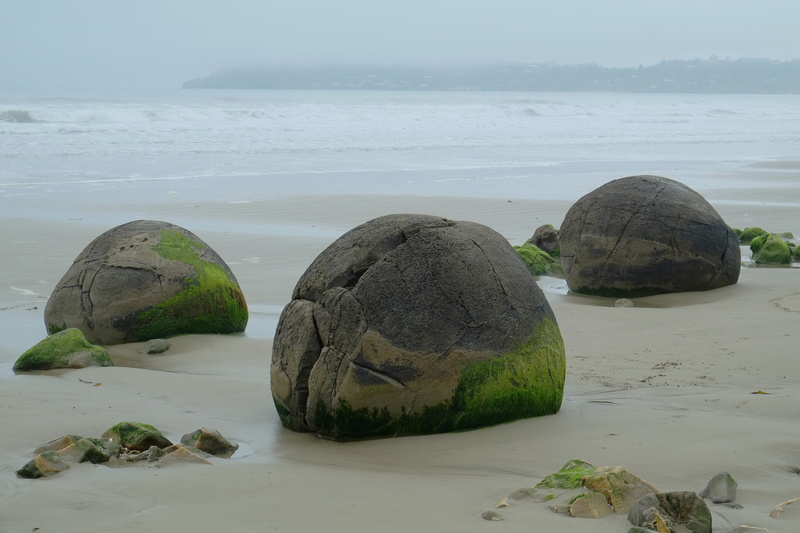 Moeraki, solid, coast, ocean, plant, rocks, coastal, coastline, water, seashore, koekohe beach, Boulders, seascape, concrete, beauty in nature, stone, Sea