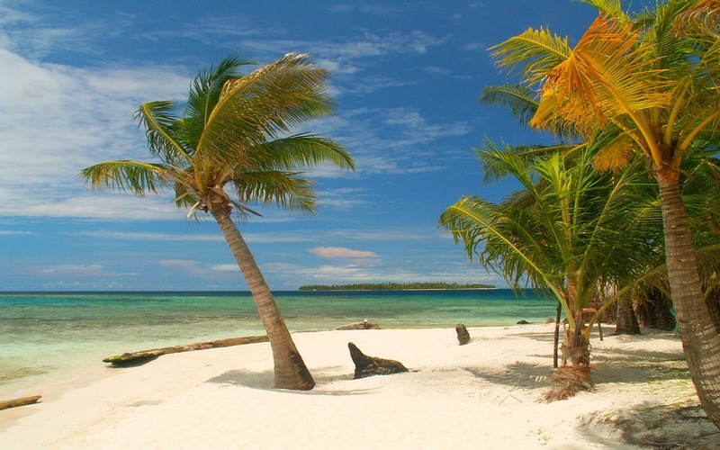 Mexico, beauty in nature, tropical, horizon over water, white, photography, tropical tree, tranquil scene, water, outdoors, beach, growth, no people, sky