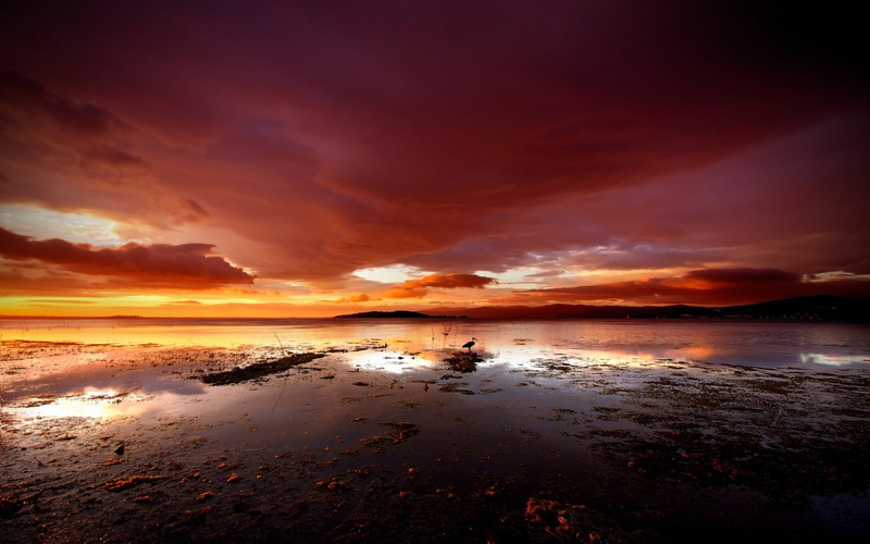 sunset, beauty in nature, landscape, scenics - nature, tranquility, reflection, sky, sea, beach, orange color, dramatic sky, nature, 720P, sand, travel destinations