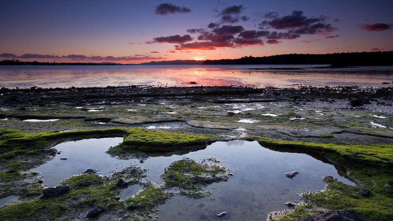 beach, low tide, nature and landscapes, tide, sunset, 1080P, pools, low