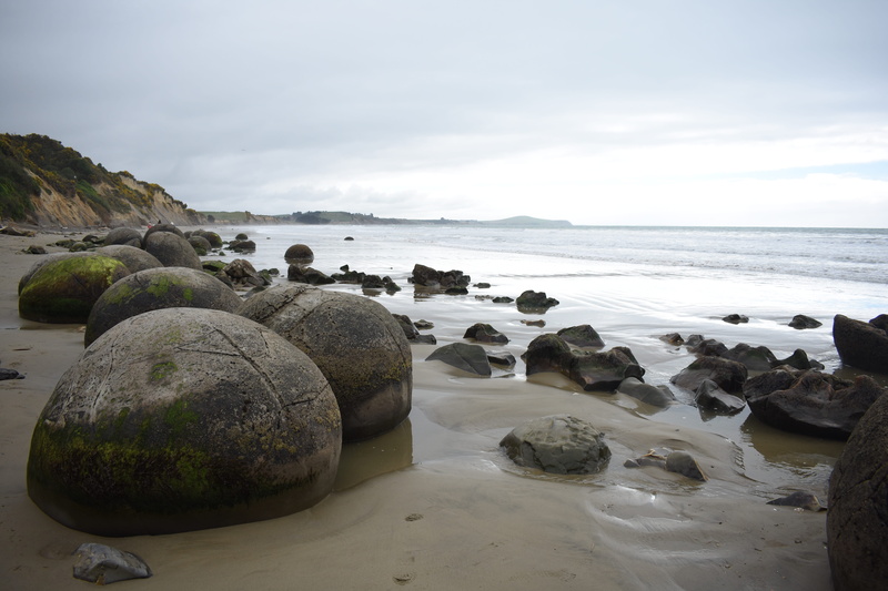 land, scenics - nature, rock, pebble, 5K, horizon, landscape, beauty in nature, new zealand, no people, outdoors, sea, seashore, moeraki, rock - object