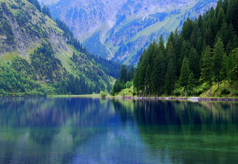 surrounded, holiday, scenics, trees, day, water, coniferous tree, lake, pine tree, austria, growth, non-urban scene, alpine, plant, reflection lake, scenics - nature