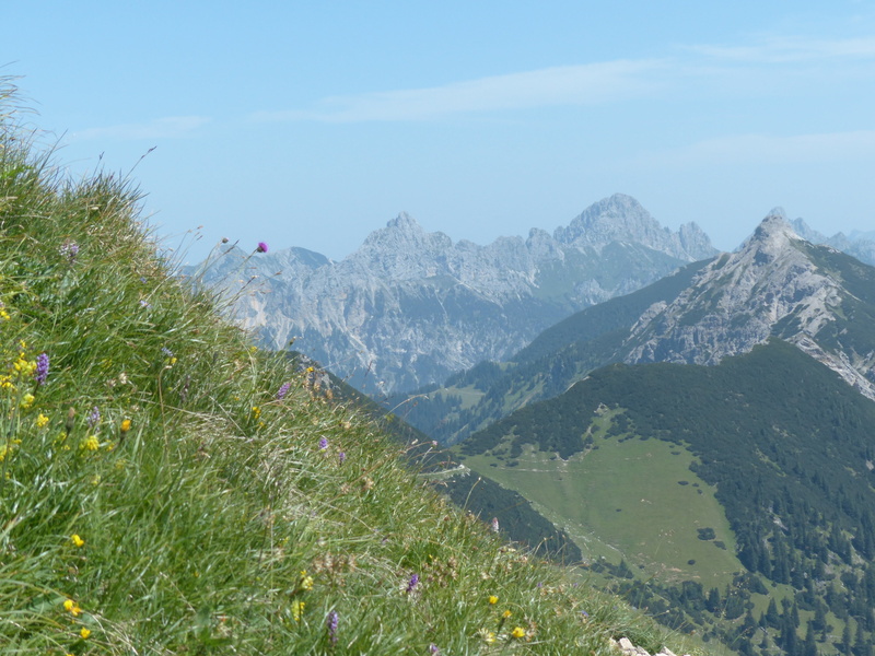 tannheim group, mountain hike, trowel top, nature, 4K, more, flower meadows, outdoors, allgäu alps, schartschrofen, krinnenspitze, kölle tip, red flüh