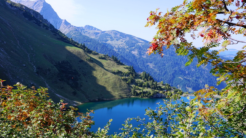 mountains, non-urban scene, tree, nature, sky, mountain, idyllic, rowan, 5K, day, no people, coniferous tree, september, mountain hike, beauty in nature