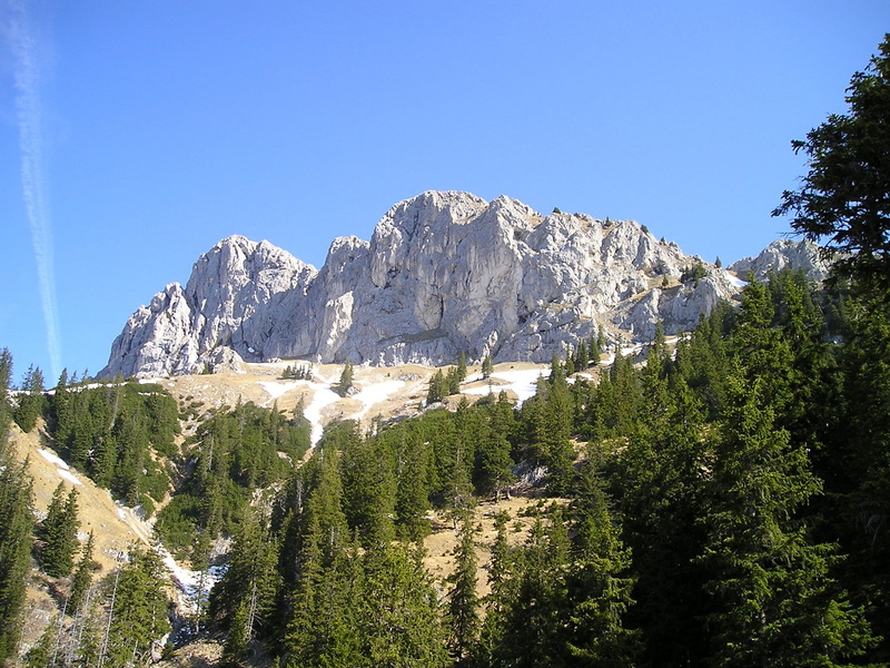 scenics - nature, alpine, non-urban scene, pine woodland, forest, pine tree, land, formation, 1080P, plant, outdoors, tranquil scene, sky, day, mountain