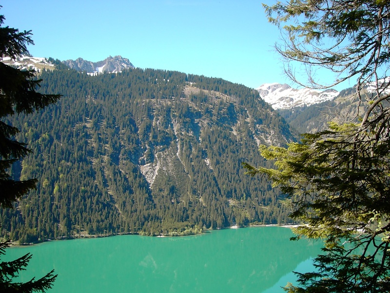 tannheim, sky, snowcapped mountain, nature, coniferous tree, tranquility, snow, no people, plant, blue, water, winter, haldensee, mountain, day, beauty in nature