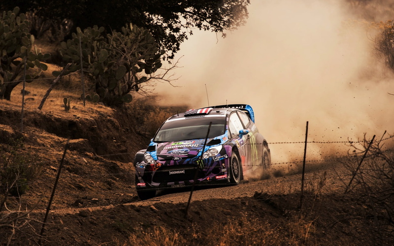 motor vehicle, travel, WRC, Dust, land, Rally, Fiesta, Ford, Auto, Ken Block, field, land vehicle, tree, motion, car, sky, nature, Race, non-urban scene
