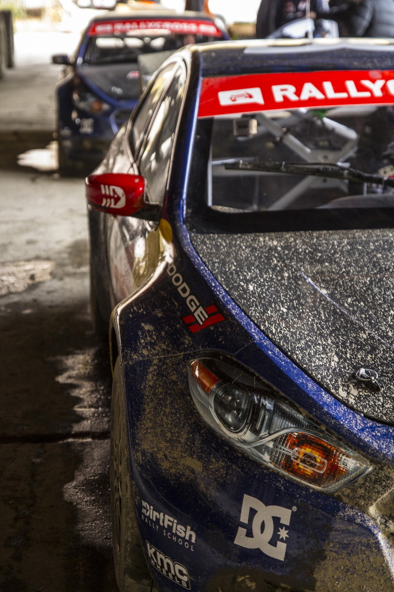 dodge, pastrona, car, dart, rallycross, motorsports, srt, 2K