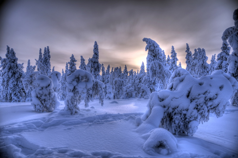 winter, Akaslompolo, Ylläs, snow, Lapland, forest, 2K, Äkäslompolo, Finland, trees