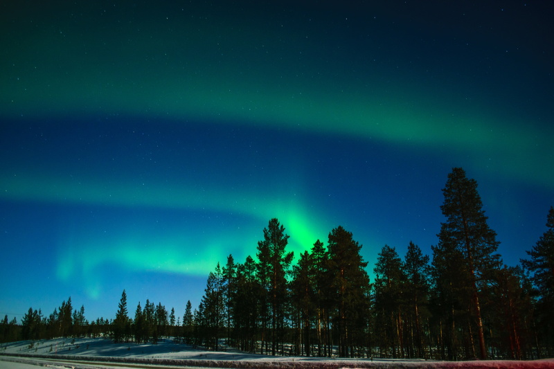 lapland, idyllic, light phenomenon, environment, trees, nature, star - space, green color, no people, power in nature, snow, northern lights, cold temperature
