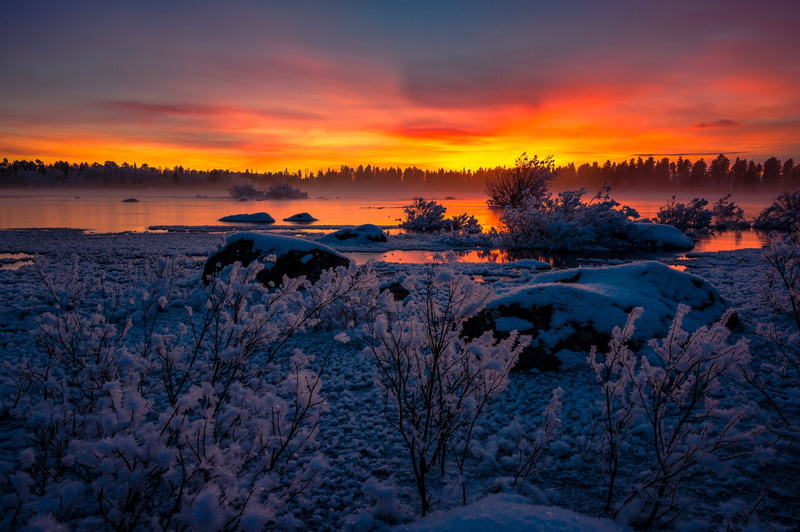 snow, Sweden, sunset, Lappland, winter, lake, Lake Hornavan, 1080P, Arjeplog, the bushes, Lapland