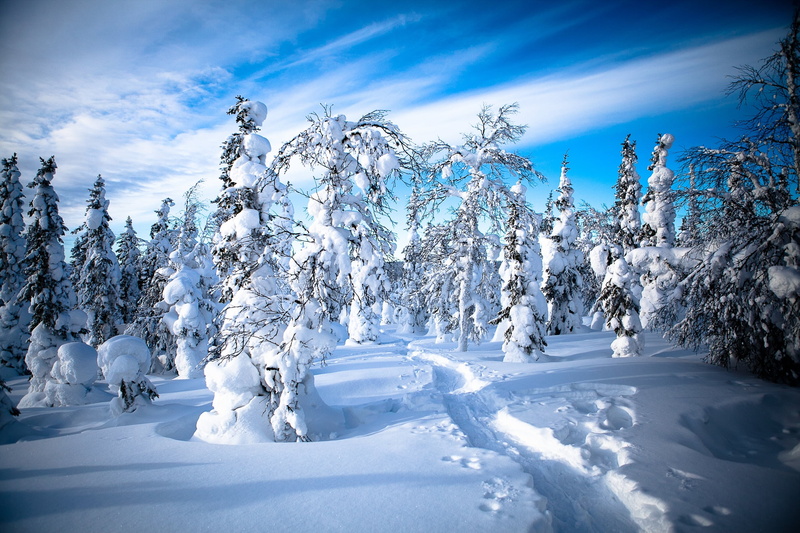 white color, tree, tranquility, beauty in nature, Finland, covering, snow, scenics - nature, plant, Lapland, land, no people, 2K, snowcapped mountain