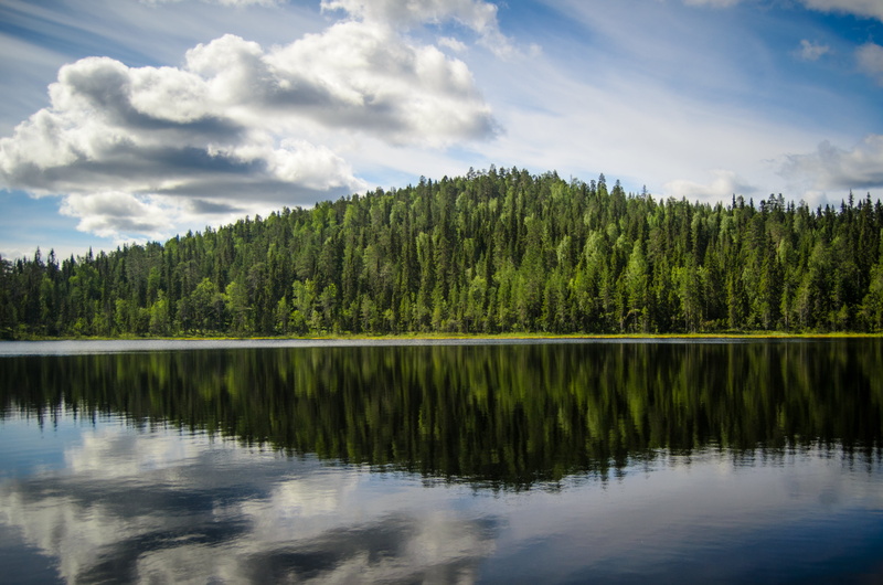 beauty In Nature, lake, lapland  finland, summer, sky, reflection, pond, body of water, landscape, outdoors, tree, water, trees, nature, near, scenics