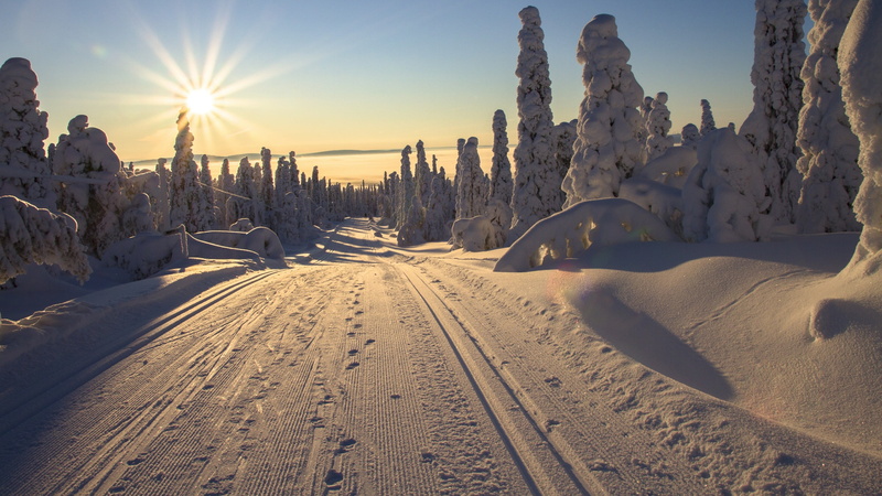snow, winter wonderland, 4K, ice, no people, landscape, plant, land, horizon, nature, sun, snowy, tranquility, lens flare, environment, snowcapped mountain