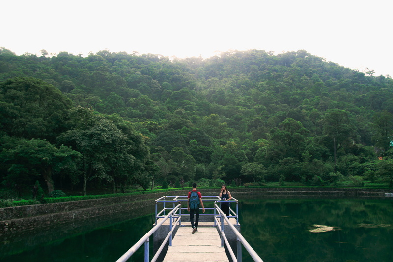 water, tranquility, back, sky, growth, railing, women, Asian, walking, tree, lake, backpacks, forest, people, Duong Tran Quoc, beauty in nature, day, tranquil scene