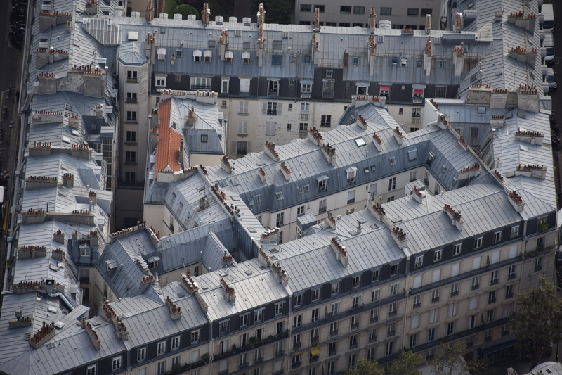 roof, aerial view, full frame, no people, high, paris, townscape, nature, travel destinations, high angle view, town, day, rooftop, settlement, outdoors