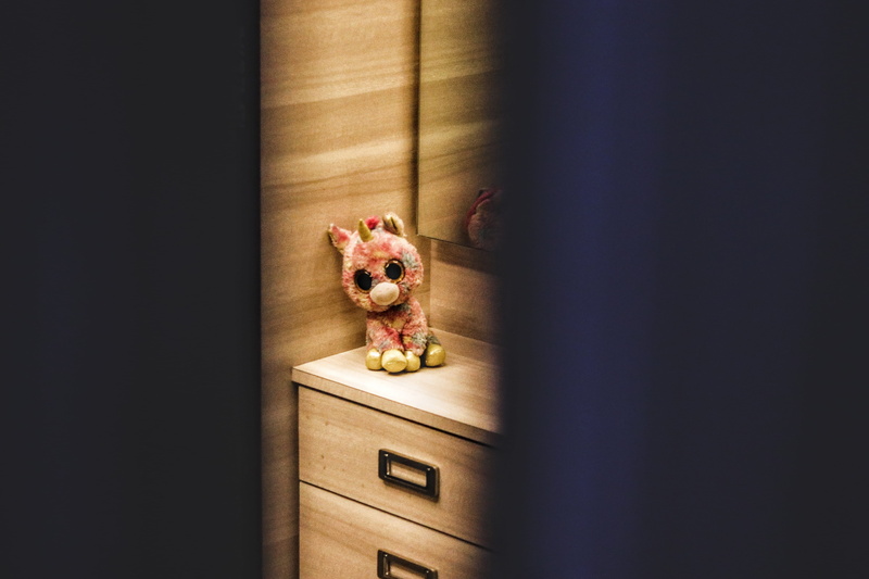 looking at camera, bunk bed, bookcase, canine, plush, bedroom, dog, dresser, cupboard, vertebrate, representation, furniture, drawer, one animal, hardwood