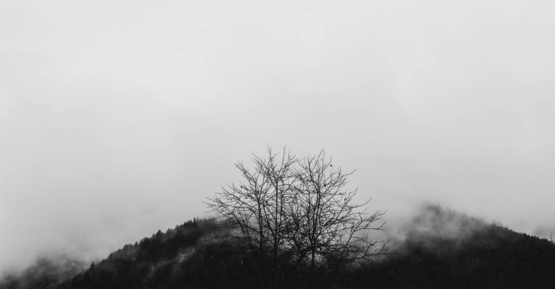 rain, scenics - nature, land, non-urban scene, old, foggy, silhouette, day, 4K, environment, forest, tranquil scene, beauty in nature, cloudscape, no people