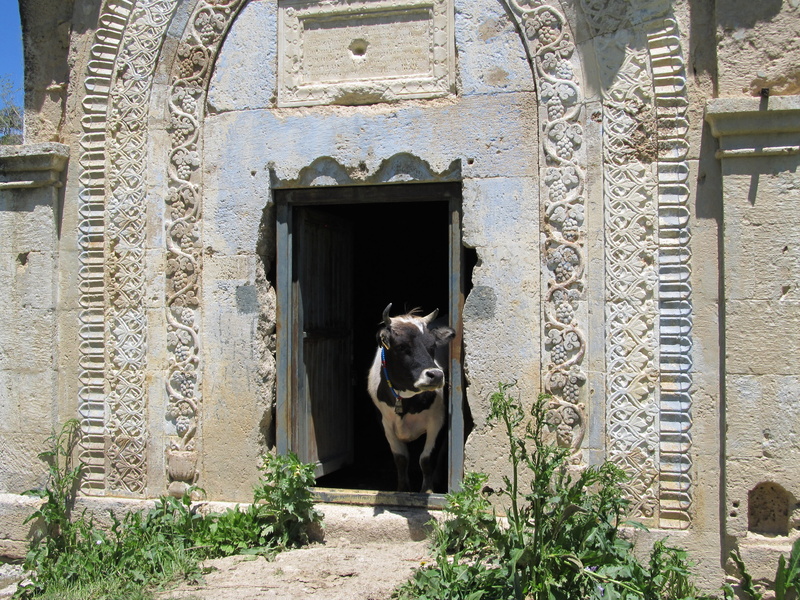 built structure, beauty, domestic, architecture, no people, window, day, entrance, pets, animal, vertebrate, one animal, travel, mammal, 4K, outdoors