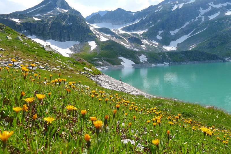 blue, body of water, summer, flower, 2K, lake, body, water, plant, scenics, meadow, grass, beauty In Nature, sky, snow, field, alpine landscape, landscape