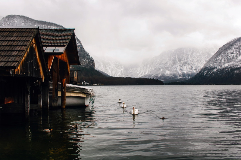 mist, mountains, time, scenics, bird, day, austria, animals in the wild, hdr, animal, fog, outdoors, built structure, ducks, architecture, body, no people