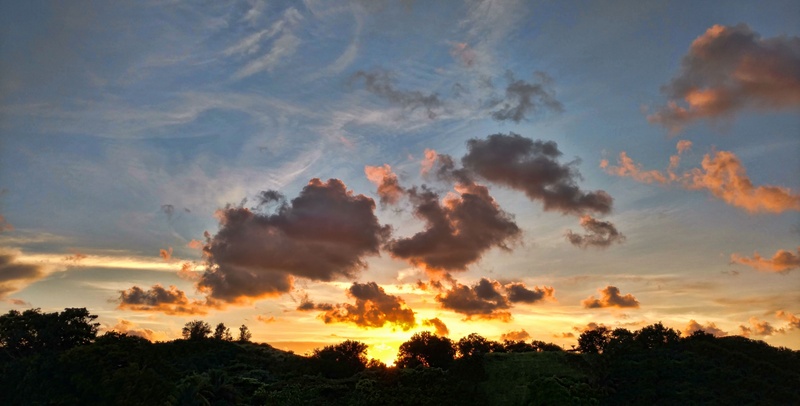 cuba, no people, nature, tranquility, idyllic, silhouette, havana, plant, treetop, cloud - sky, outdoors, orange color, cloudscape, sky, low angle view