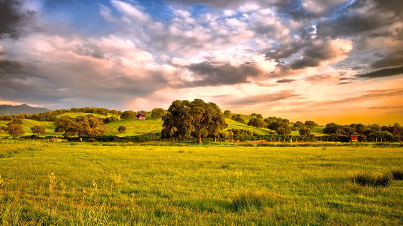 green Nature, 720P, 1366x768