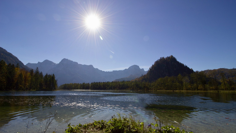 tree, back light, mountain range, landscape, 5K, lake, scenics - nature, pine woodland, sunlight, tranquility, mountain, reflection, almsee, water, sun