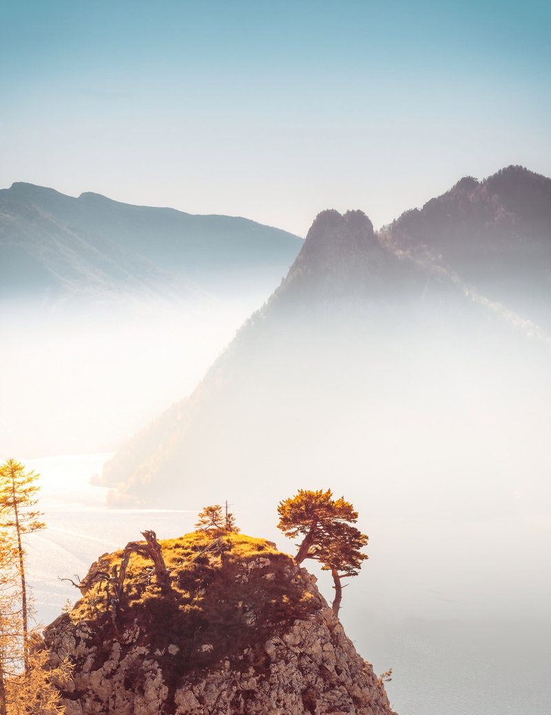 idyllic, outdoors, nature, no people, day, tranquility, fog, upper austria, traunstein, high, tree, landscape, color, mist, austria, sunny, view, plant