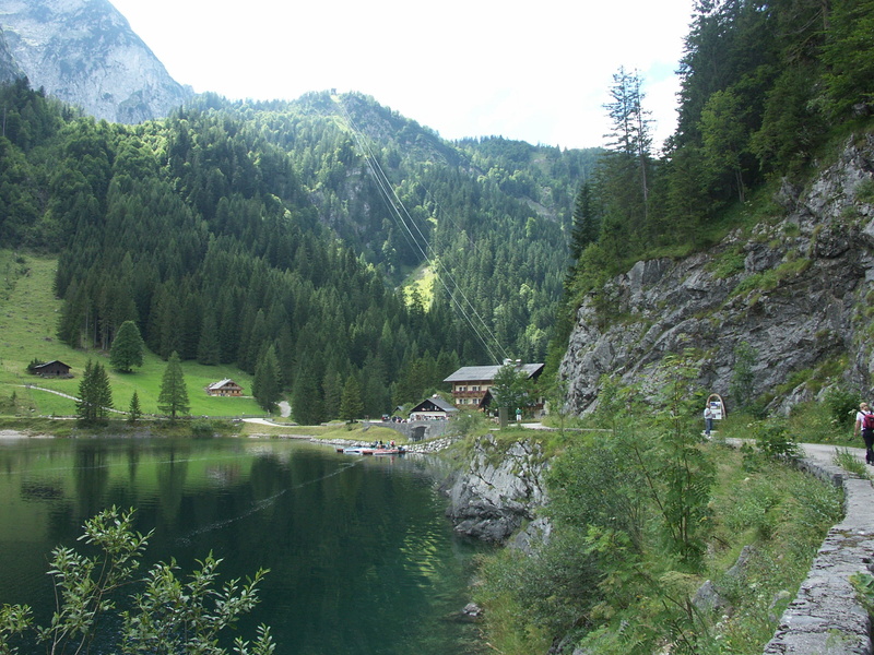 plant, growth, idyllic, tranquil scene, 2K, Dachstein, mountain range, gosausee, day, hut, forest, alpine, upper austria, Mountains, scenics - nature