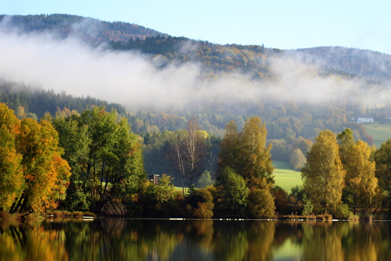 golden autumn, autumn mood, plant, tranquil scene, nature, outdoors, forest, beauty in nature, austria, hills, bank, lake, 5K, fall color, land, day, landscape