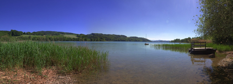 travel destinations, mattsee, plant, upper austria, no people, reflection, tranquil scene, nature, land, tranquility, scenics - nature, tree, lake, outdoors