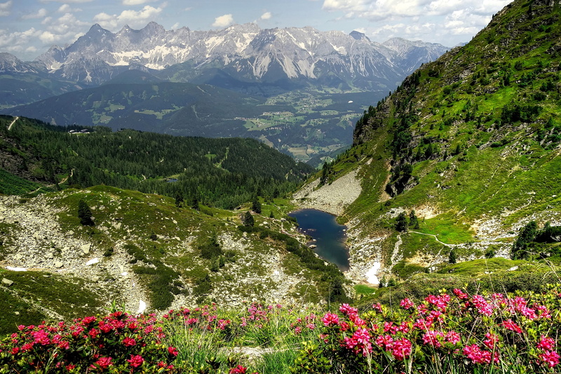 alpine, growth, tree, tranquil scene, mountain range, freshness, nature, trees, landscape, ennstal, non-urban scene, scenics - nature, green color, idyll