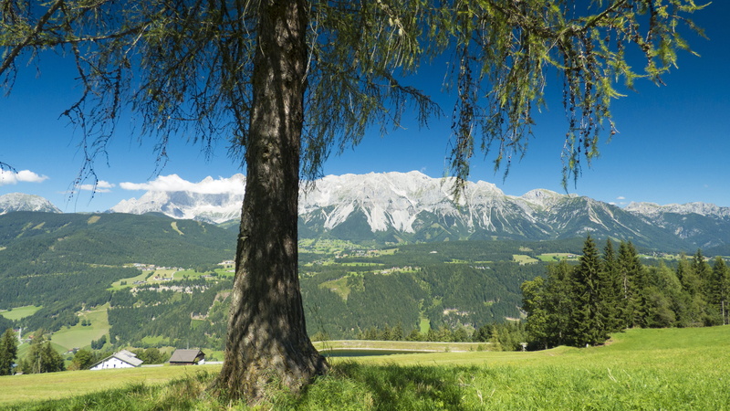 summit, schladming, hike, land, meadow, austria, glacier, mountain range, non-urban scene, mountain peak, alpine, blue, beauty in nature, pine woodland