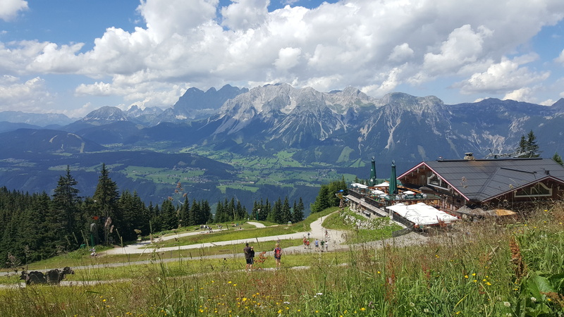 meadow, sky, mountain range, environment, day, peaks, valley, alps, beauty in nature, grass, outdoors, field, landscape, plant, scenics - nature, nature