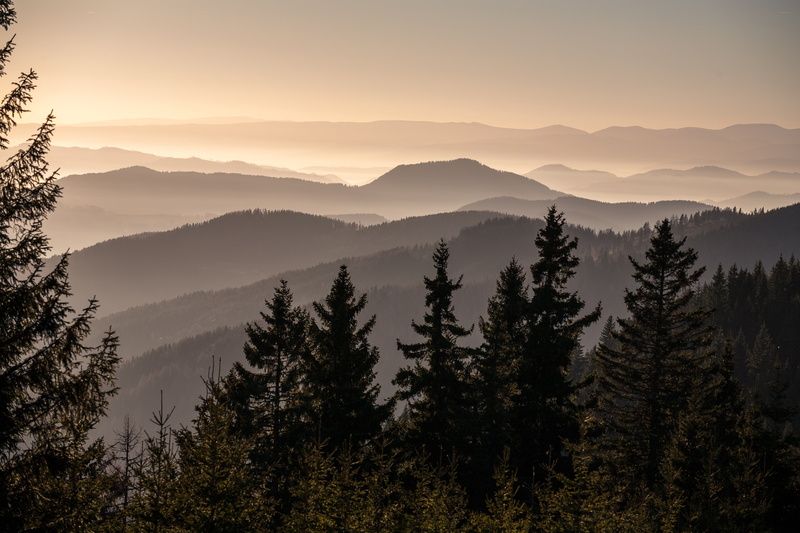 Österreich, tree, Sankt Kathrein am Offenegg, mountain, sunset, Steiermark, kathrein, sky, nature, landscape, offenegg, sankt, II Vi, ii, scenics, untitled
